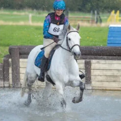 Number Bib 7 Number Bib -Equestrian Clothing Store 8081 Shires Number.Bib In.Use