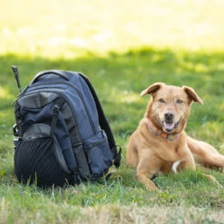 Kerrits EQ Backpack 24 Kerrits EQ Backpack -Equestrian Clothing Store EQBackPack 30444 Black2