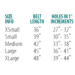 Perri's Padded Leather Belt -Equestrian Clothing Store belt size chart 00294.1588165726.1280.1280