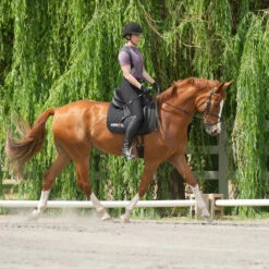 Kerrits Women's Crossover II Full Seat Breech -Equestrian Clothing Store black3 68735.1581518814.1280.1280 ee0169b4 275f 4e97 9c76 48ce457233a0